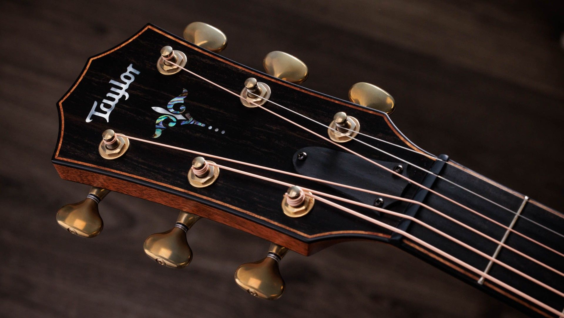 Taylor-BE-914ce-WHB-Lutz- Taylor-BE-914ce-WHB-Lutz-